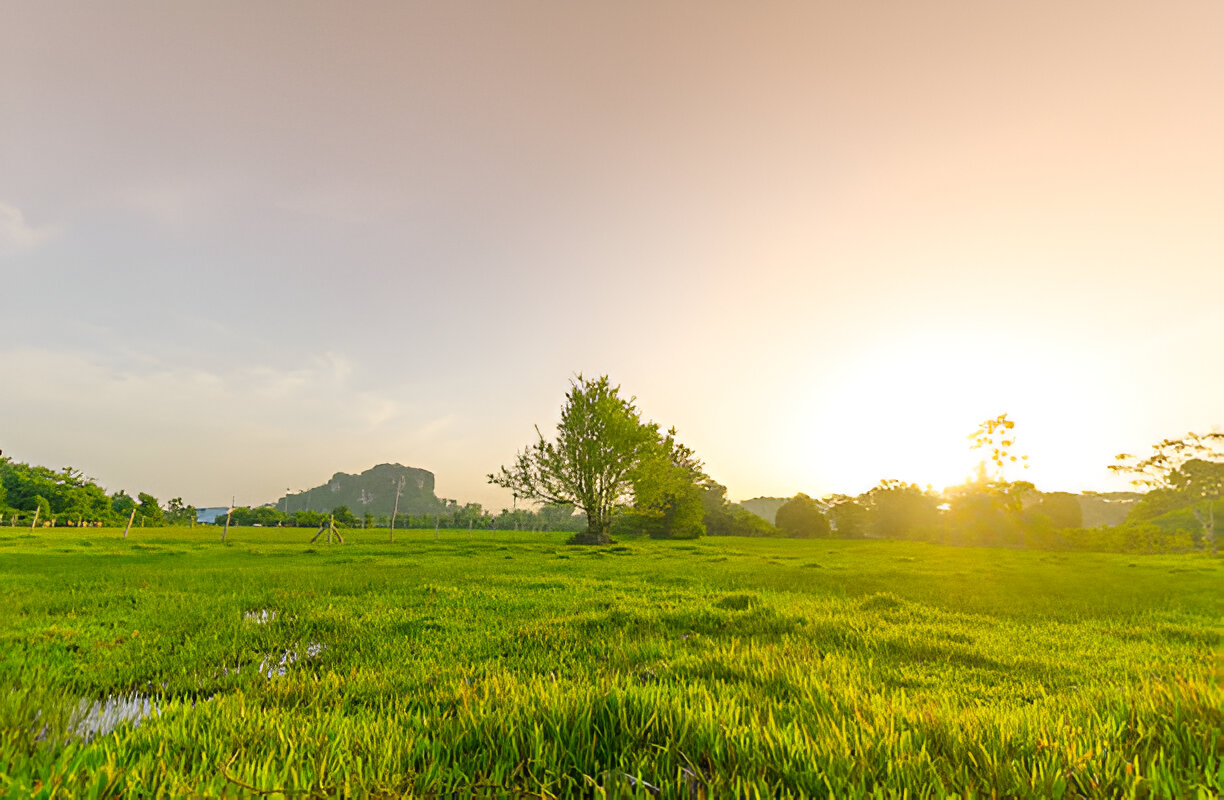 Open plots in Sultanpur Road area